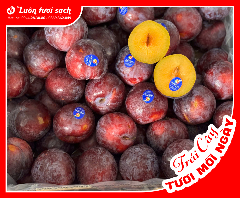 Mận ruột vàng Úc